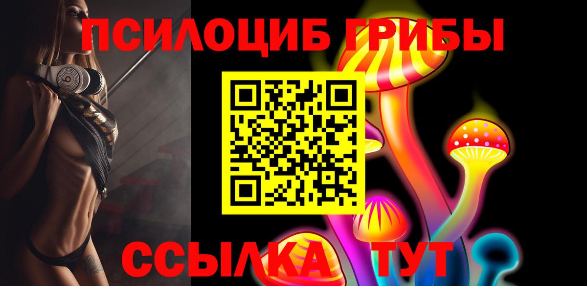 Псилоцибиновые грибы Magic Shrooms Балтийск